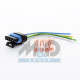 PIECES POUR SYSTEMES DE GESTION MOTEUR